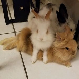 Meet your Posher, Katherine